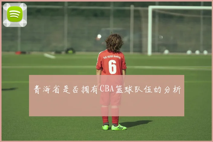 青海省是否拥有CBA篮球队伍的分析