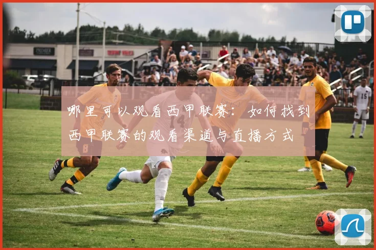 哪里可以观看西甲联赛：如何找到西甲联赛的观看渠道与直播方式