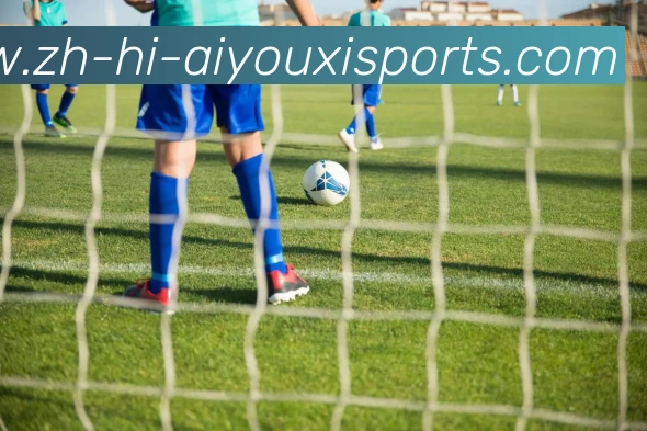 爱游戏体育品牌故事