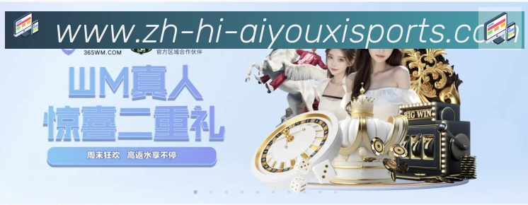 未来规划