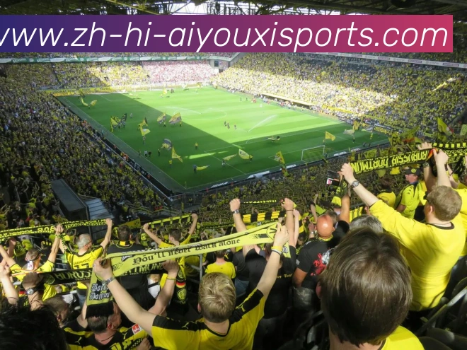 爱游戏体育APP 体育赛事宣传图